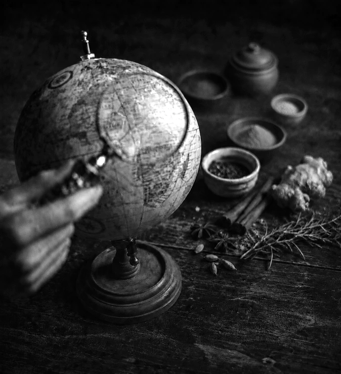 globe et epices representant l esprit d'au gout du monde